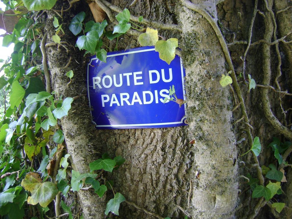 Gite Les Mineurs Zottegem Екстериор снимка